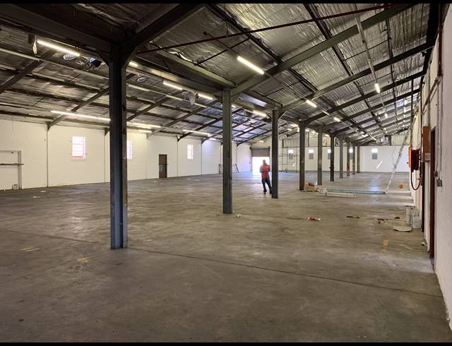 1,300M² FACTORY TO LET IN ELSIES RIVER INDUSTRIAL